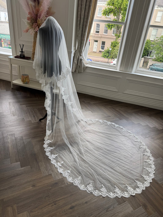 Lace Edge Cathedral Veil